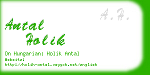 antal holik business card